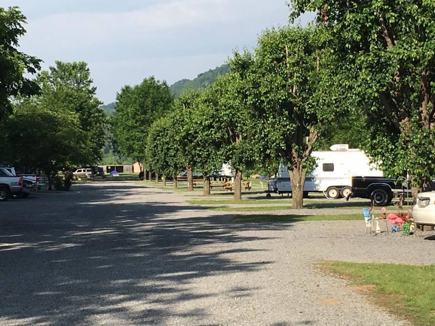 Clinch River Family Campground