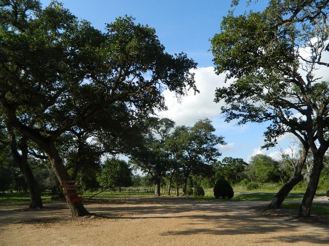 D and L's RV Park