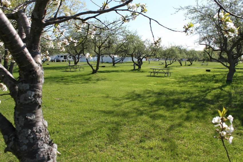 Kibby Creek Travel Park