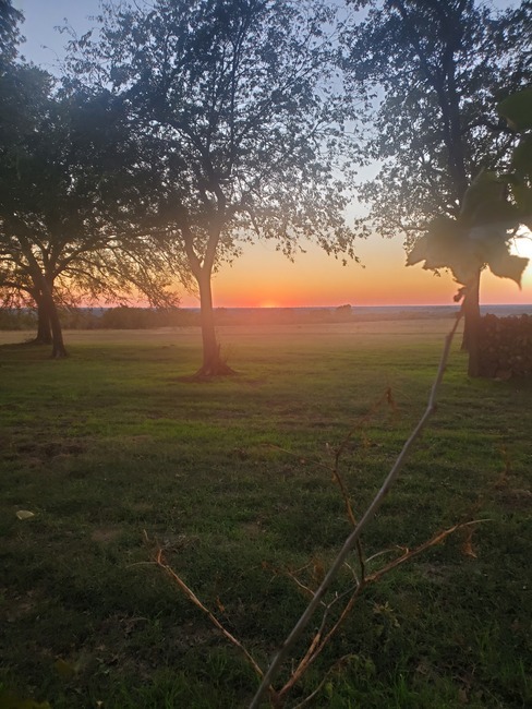 Old Towne Rv Ranch