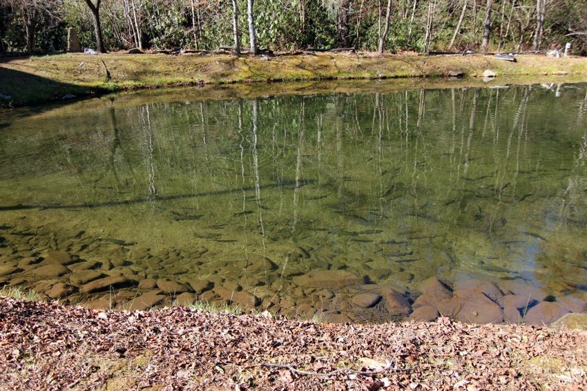 Tumbling Waters Campground