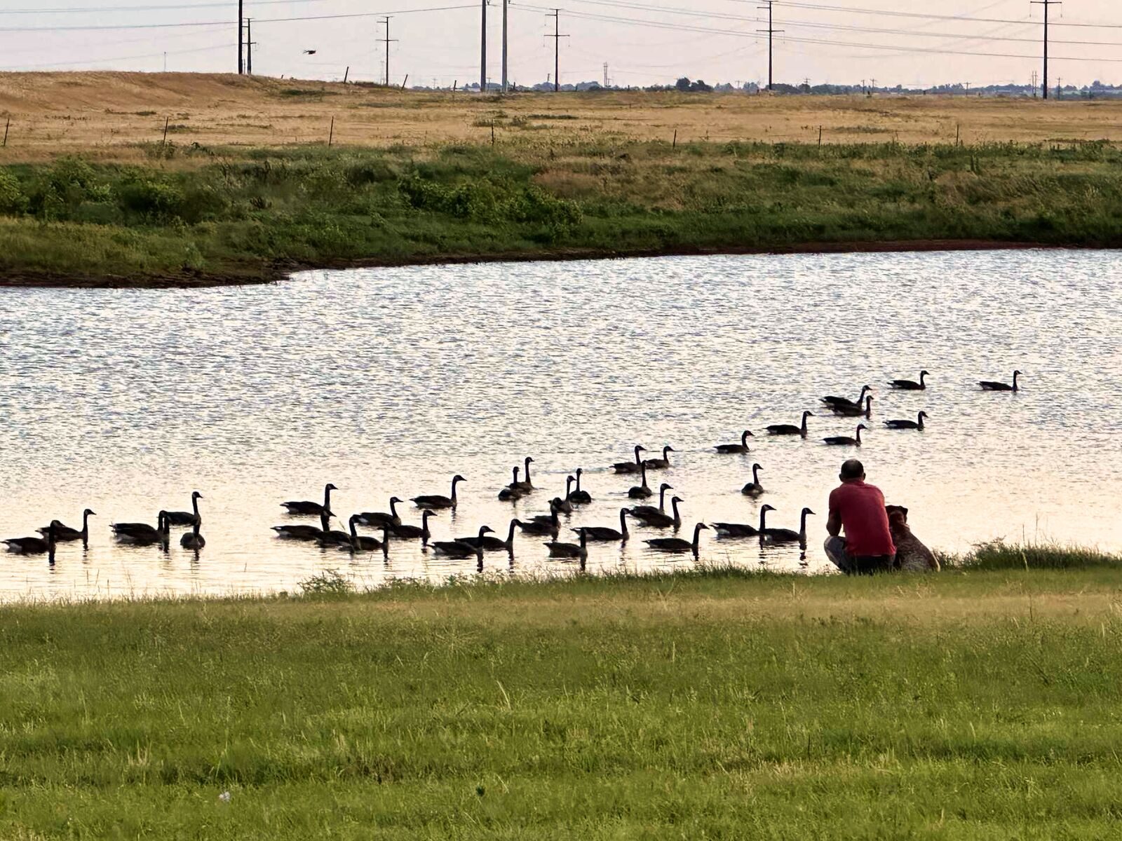 Wittrock Lake Retreat & RV Park